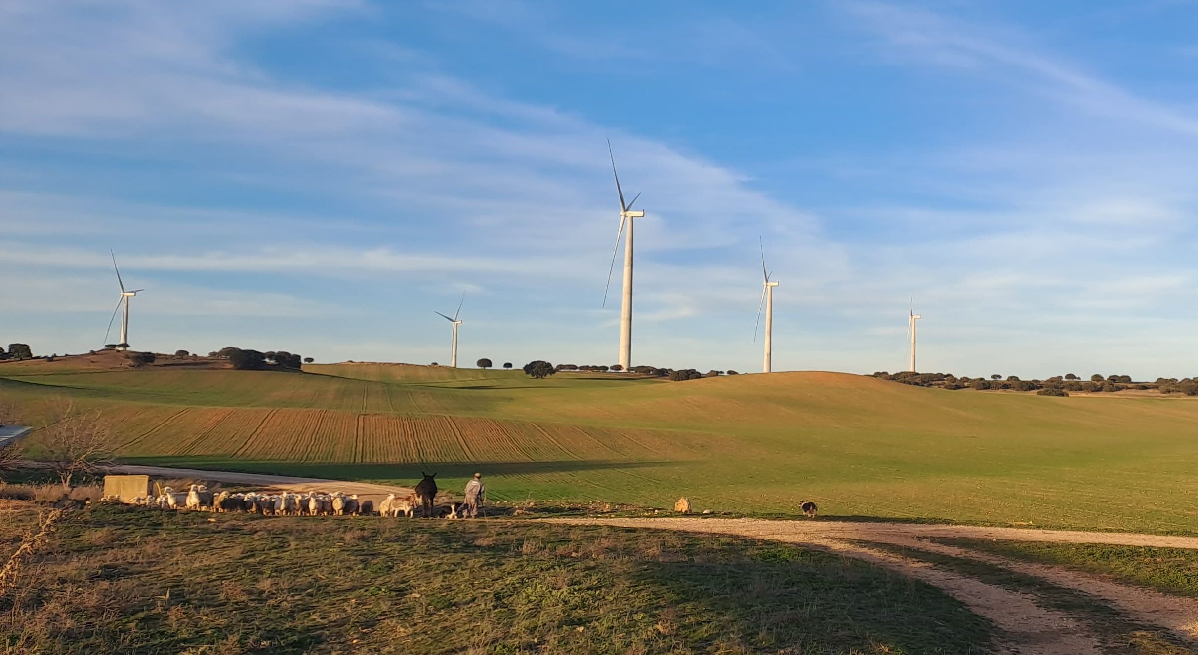 Gecama wind farm - Spain